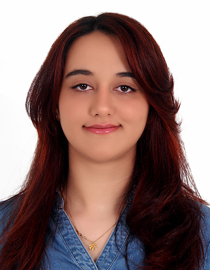 بریکاری گەشتوگوزار
