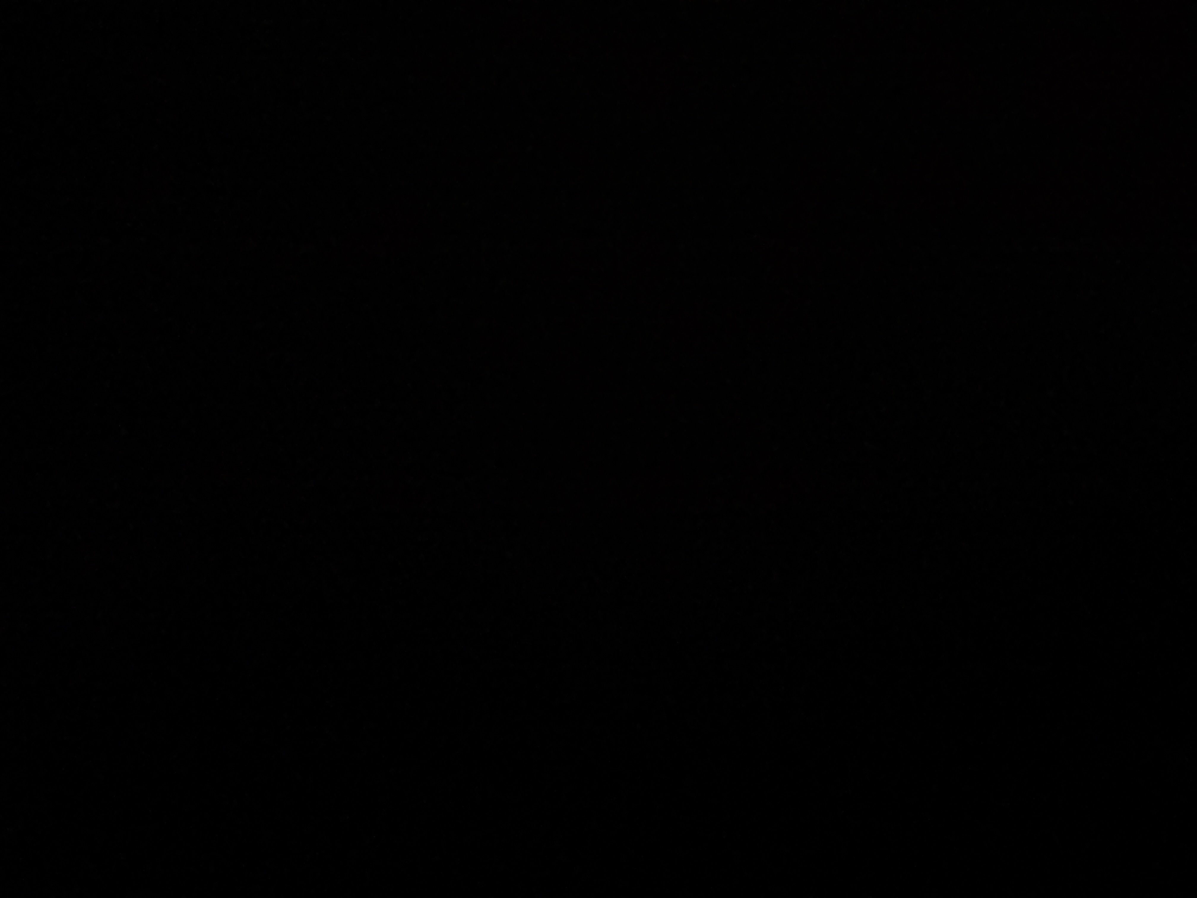 دیزاینەر