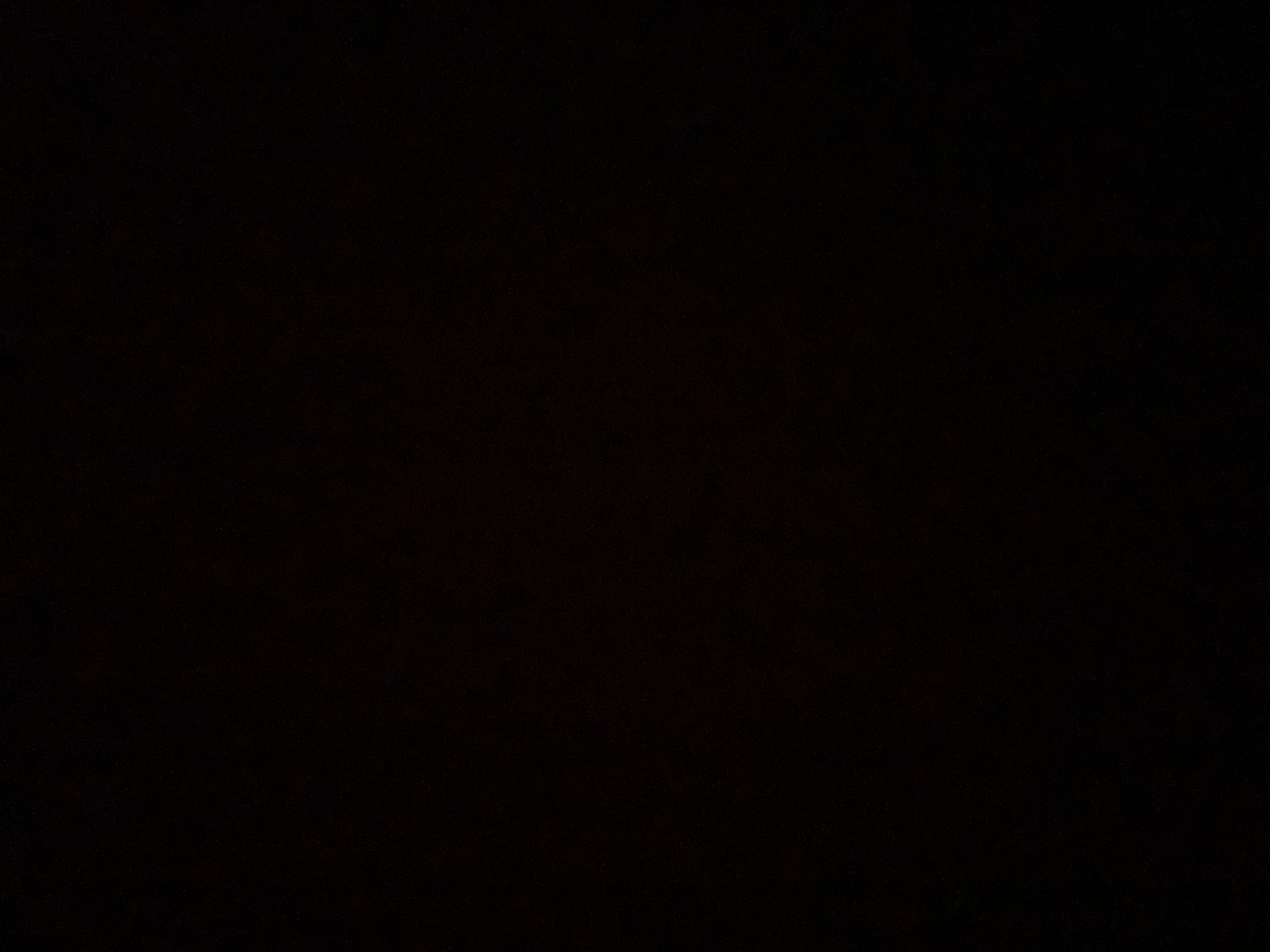 مایکرۆسۆف ۆرد