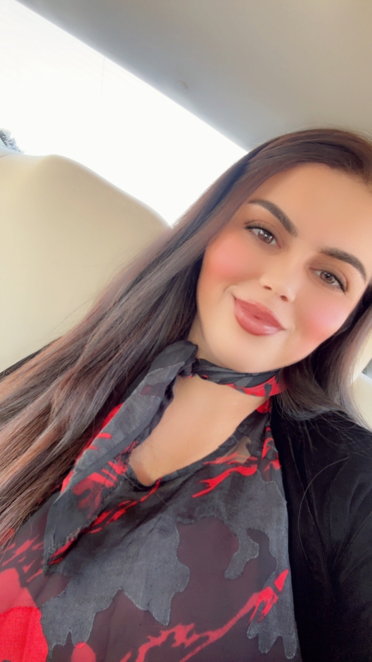 پروگرامي فروشتن
